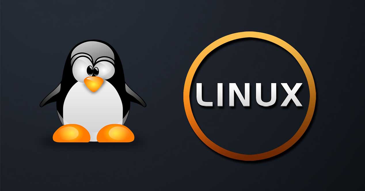 why-do-programmers-prefer-linux-learn-to-code-together