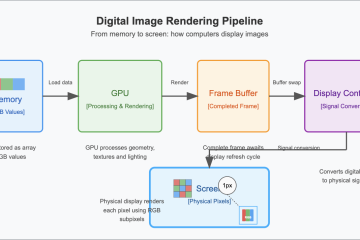 From Data to Display: How Computers Present Images